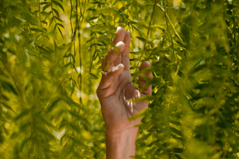 Webinar Promoting sustainability in schools