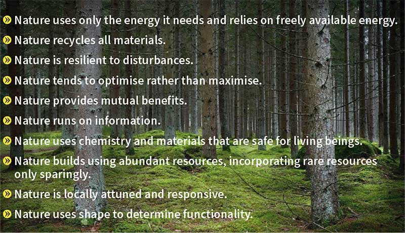 Image listing Nature's Unifying Patterns