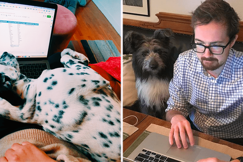 flexible-working