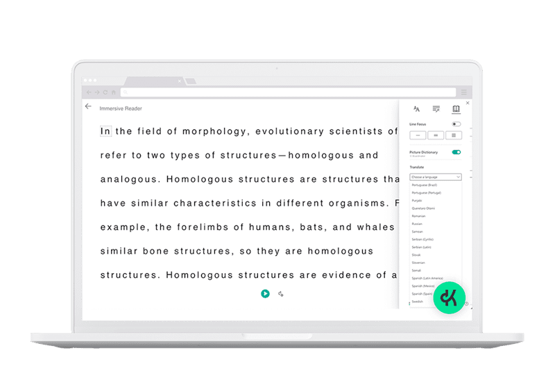 Kognity's Immersive Reader functionality